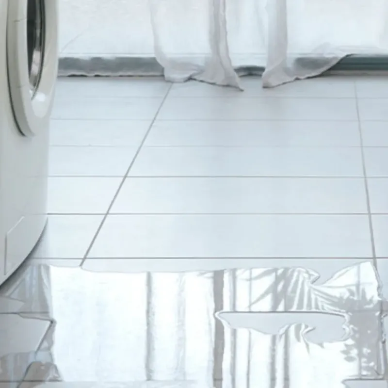 Appliance Leak Cleanup in Shorewood, WI