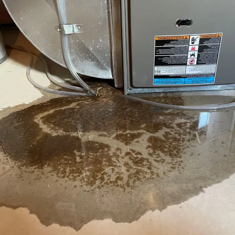 Pipe Burst and Leak Restoration in Shorewood, WI